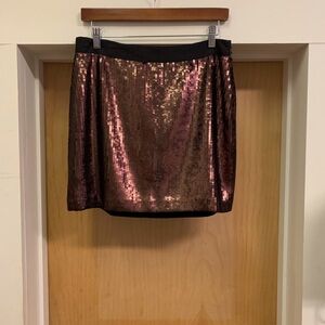 Banana Republic Pinkish Purple Sequence Skirt Size 6